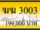 ฆฆ 3003