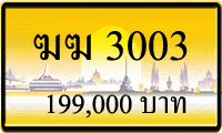 ฆฆ 3003