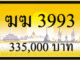 ฆฆ 3993