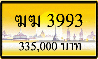 ฆฆ 3993