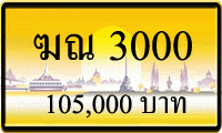 ฆณ 3000