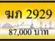 ฆภ 2929
