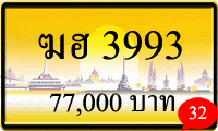 ฆฮ 3993