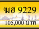 ฆฮ 9229