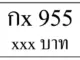 ขายทะเบียน 955