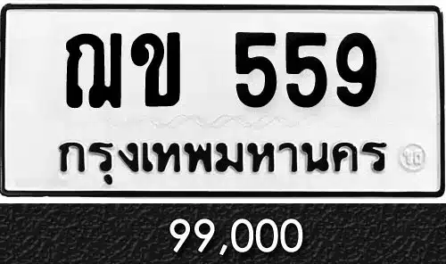 Vtabien ขายทะเบียนรถ ราคามิตรภาพ 10