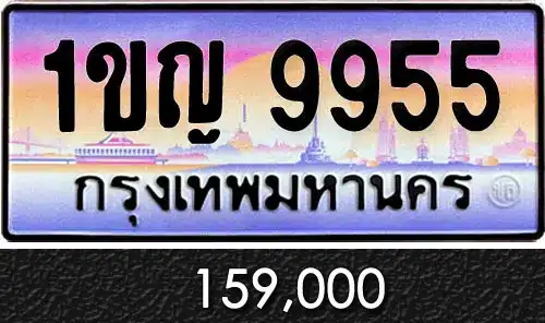 รวมทะเบียนรถสวย ราคาพิเศษ ครบจบที่เดียว 165 ทะเบียน 1ขญ 9955