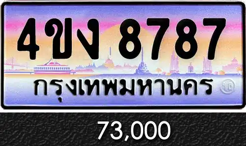 รวมทะเบียนรถสวย ราคาพิเศษ ครบจบที่เดียว 103 ทะเบียน 4ขง 8787