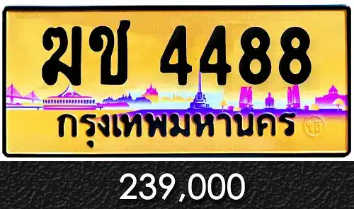 Vtabien ขายทะเบียนรถ ราคามิตรภาพ 10