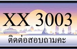 ขายทะเบียน 3003 ราคาถูก