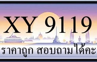 ขายทะเบียน 9119