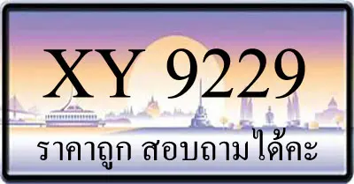 ขายทะเบียน 9229