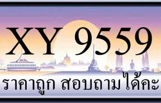 ขายทะเบียน 9559 ราคาถูก