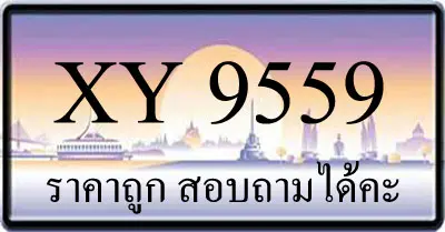 ขายทะเบียน 9559 ราคาถูก