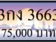 ขายทะเบียน 3กง 3663