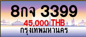 ขายทะเบียน 8กจ 3399