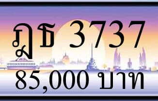 ขายทะเบียนรถ ฎธ 3737