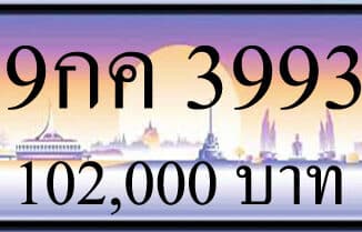 ขายทะเบียน 9กค 3993