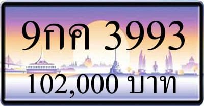 ขายทะเบียน 9กค 3993