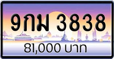 ขายทะเบียน 9กม 3838