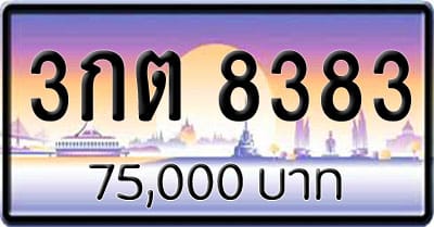 ขายทะเบียน 3กต 8383