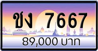 ขายทะเบียน ชง 7667