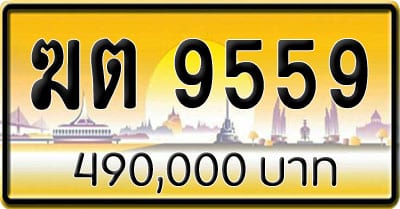 ขายทะเบียน ฆต 9559