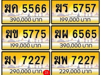 ขายทะเบียน ป้ายทอง ฆ