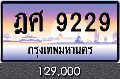 ทะเบียน ฎศ 9229