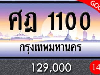 ขายทะเบียน ศฎ 1100