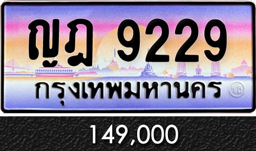 ทะเบียน ญฎ 9229