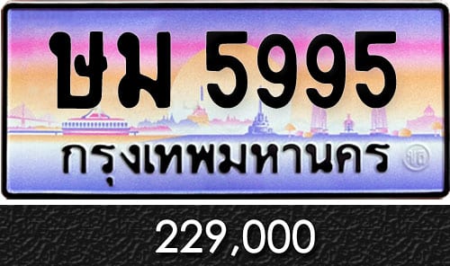 ทะเบียน ษม 5995