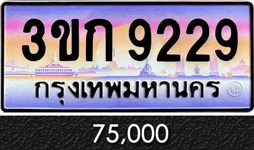 รวมทะเบียนรถสวย ราคาพิเศษ ครบจบที่เดียว 192 ทะเบียน 3ขก 9229